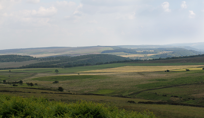 Gibbet Moor Gibbet Moor